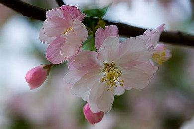 《失忆症：地堡》10分钟实机视频分享